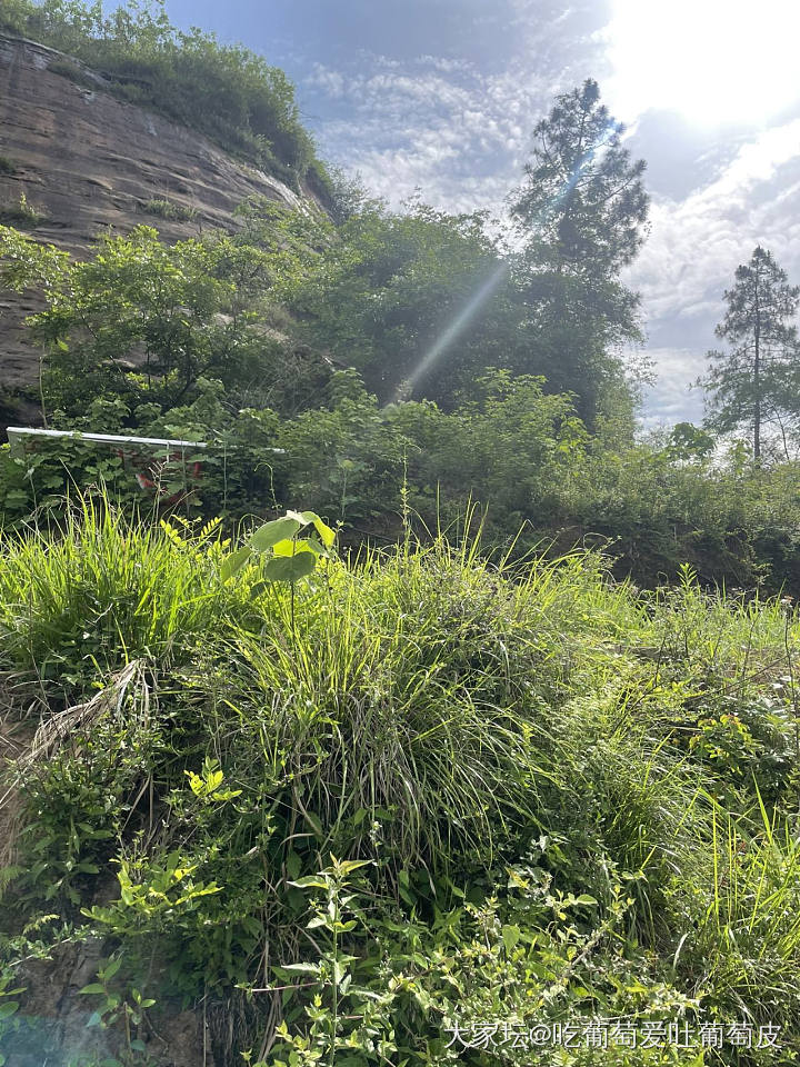 晒出你的五一出游目的地+首饰装备吧_翡翠