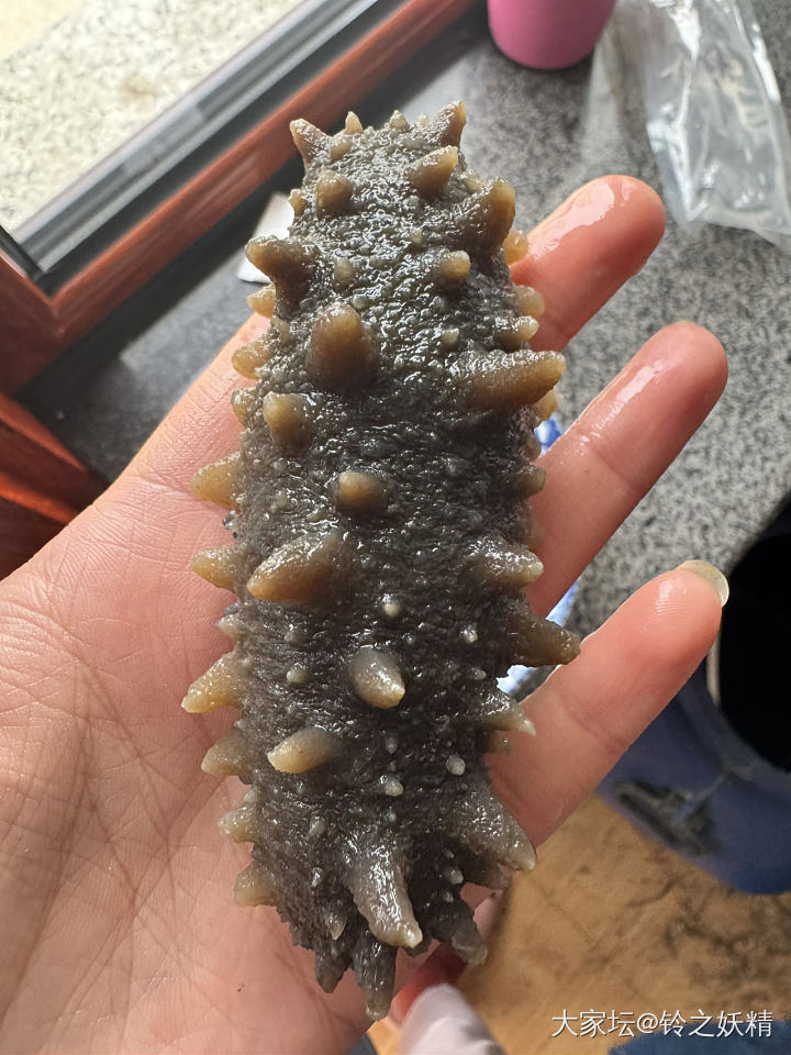 请懂海参的姐妹帮我看看这两根_补品