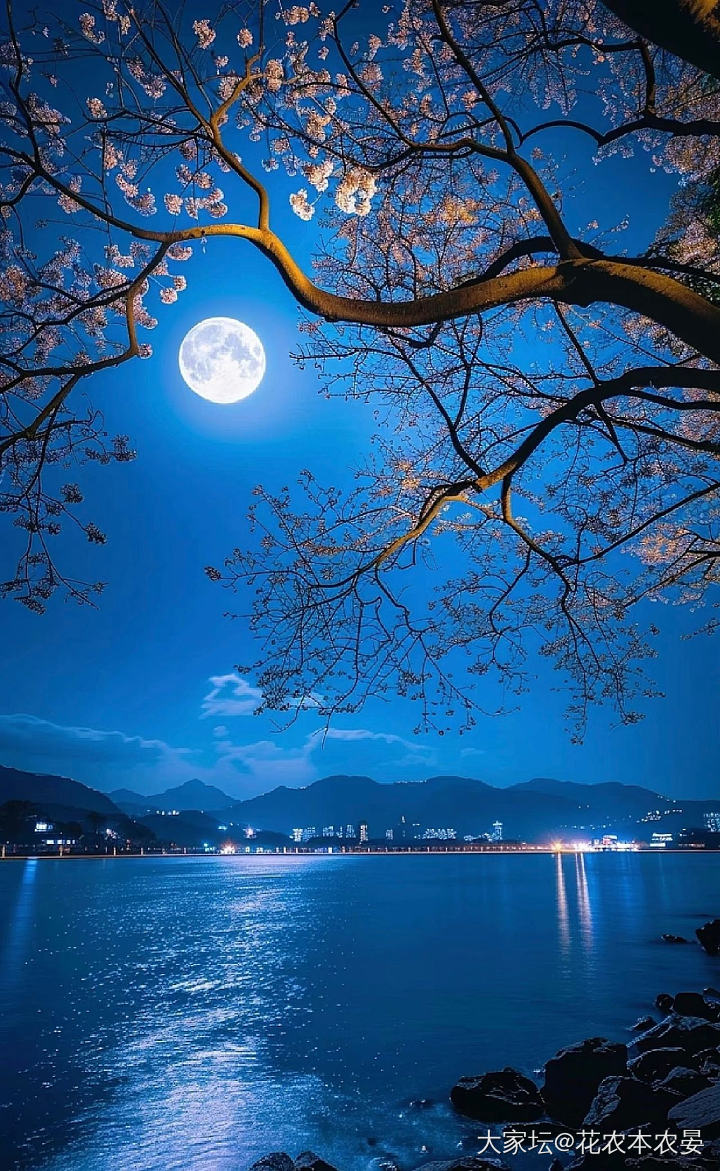 半夜不睡觉💤胡说八道看红楼，说错勿怪接受批评_闲聊