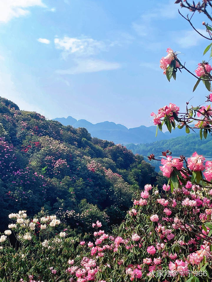 把地球的彩带烙在我的心里_旅游
