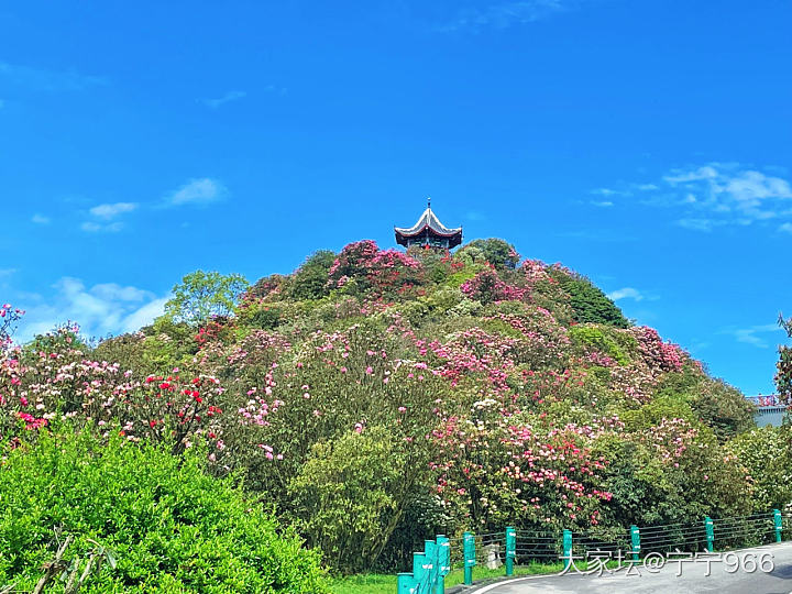 把地球的彩带烙在我的心里_旅游