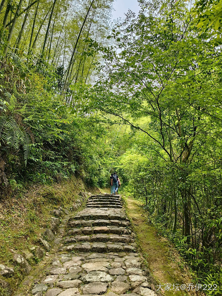 美景美食玩high了_旅游