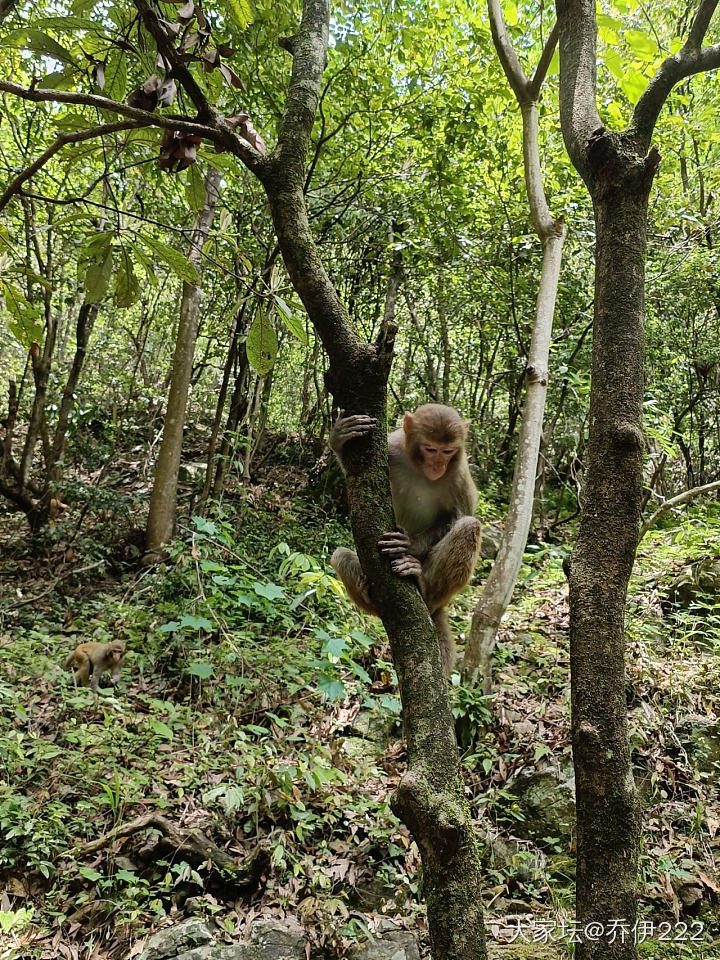 美景美食玩high了_旅游