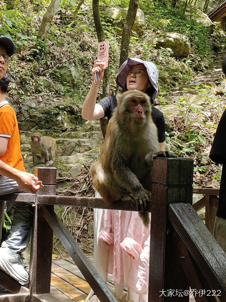 美景美食玩high了_旅游