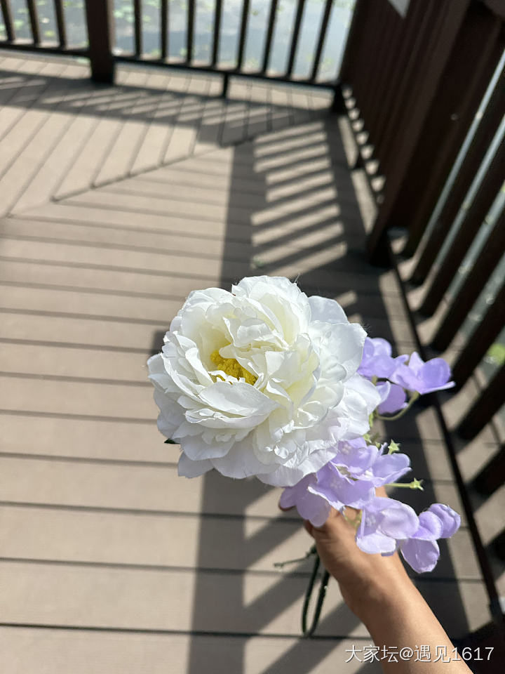 捡了两朵塑料花_旅游