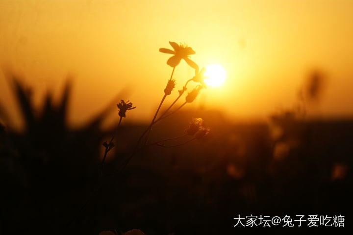 蹲守到海上的日出_旅游