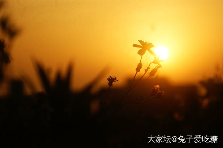 蹲守到海上的日出_旅游
