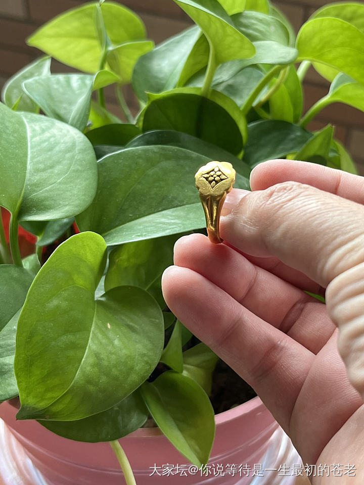 一枚有故事的金戒指_金