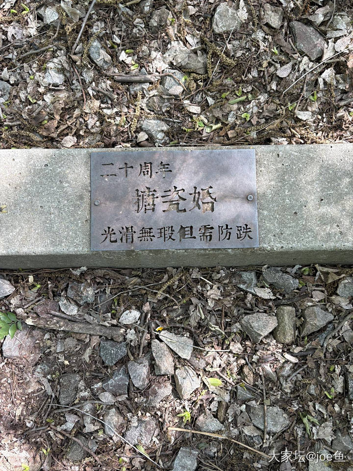 五一家附近的小众景点_旅游花