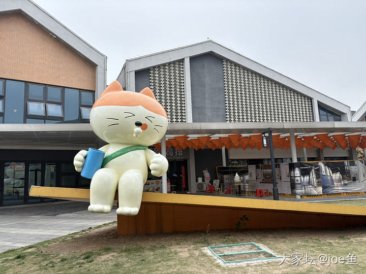 五一家附近的小众景点_旅游花