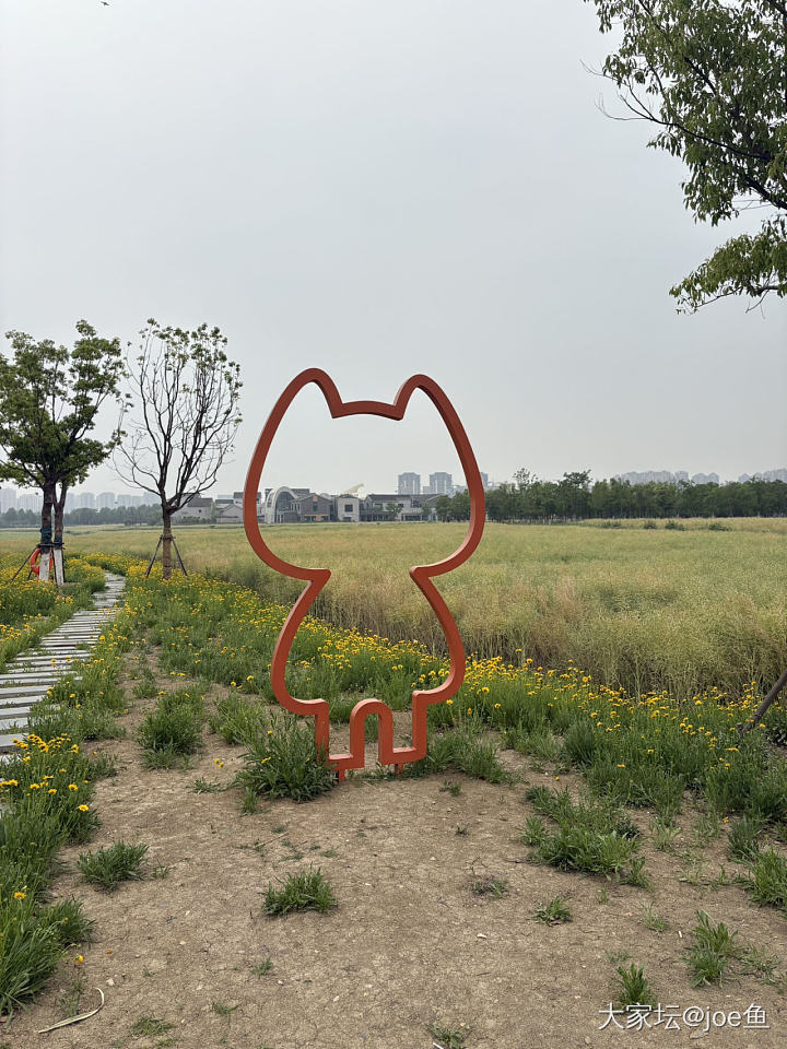 五一家附近的小众景点_旅游花