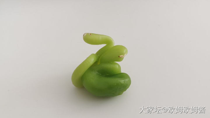 我又来晒刷脂餐啦_翡翠闲聊美食