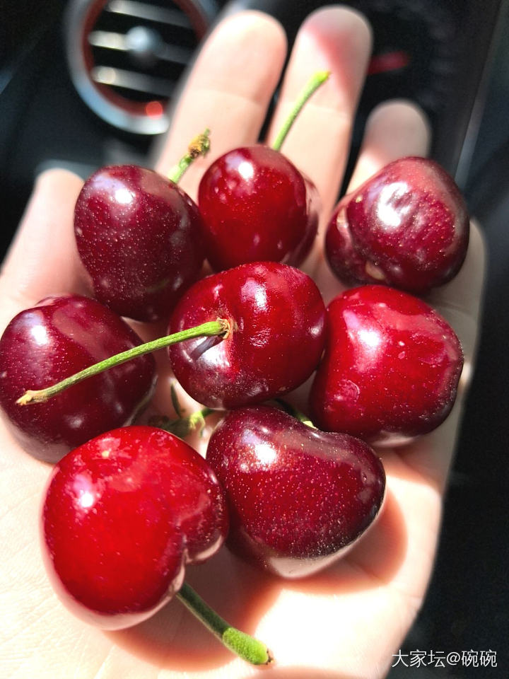 蒸鱼的时候生菜进蒸箱断个生，酱油麻油拌一下。_美食