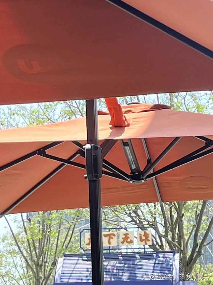 夏天来了