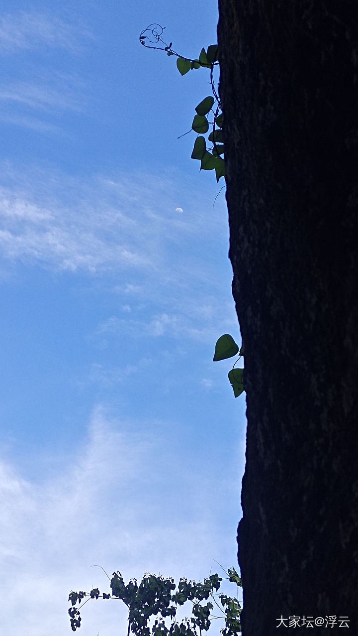 千年石板仓，玻璃水航道一票难求_旅游