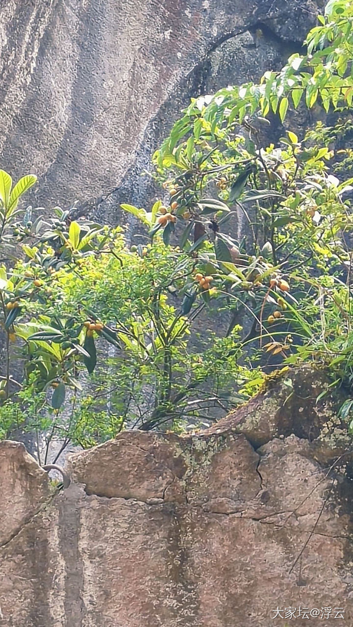 千年石板仓，玻璃水航道一票难求_旅游