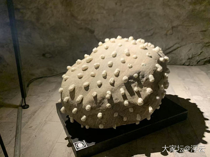 千年石板仓，玻璃水航道一票难求_旅游