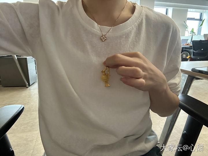 谢谢友爱的坛友们，我已从科目三挂科的负面情绪中走出来～来看看我的新欢黄金宝瓶吧！_金