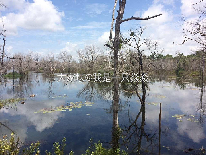 道理都懂_闲聊
