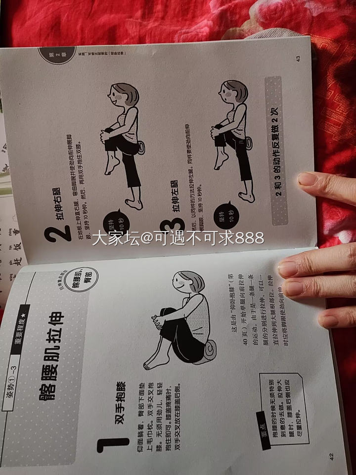 关于骨盆前倾_运动