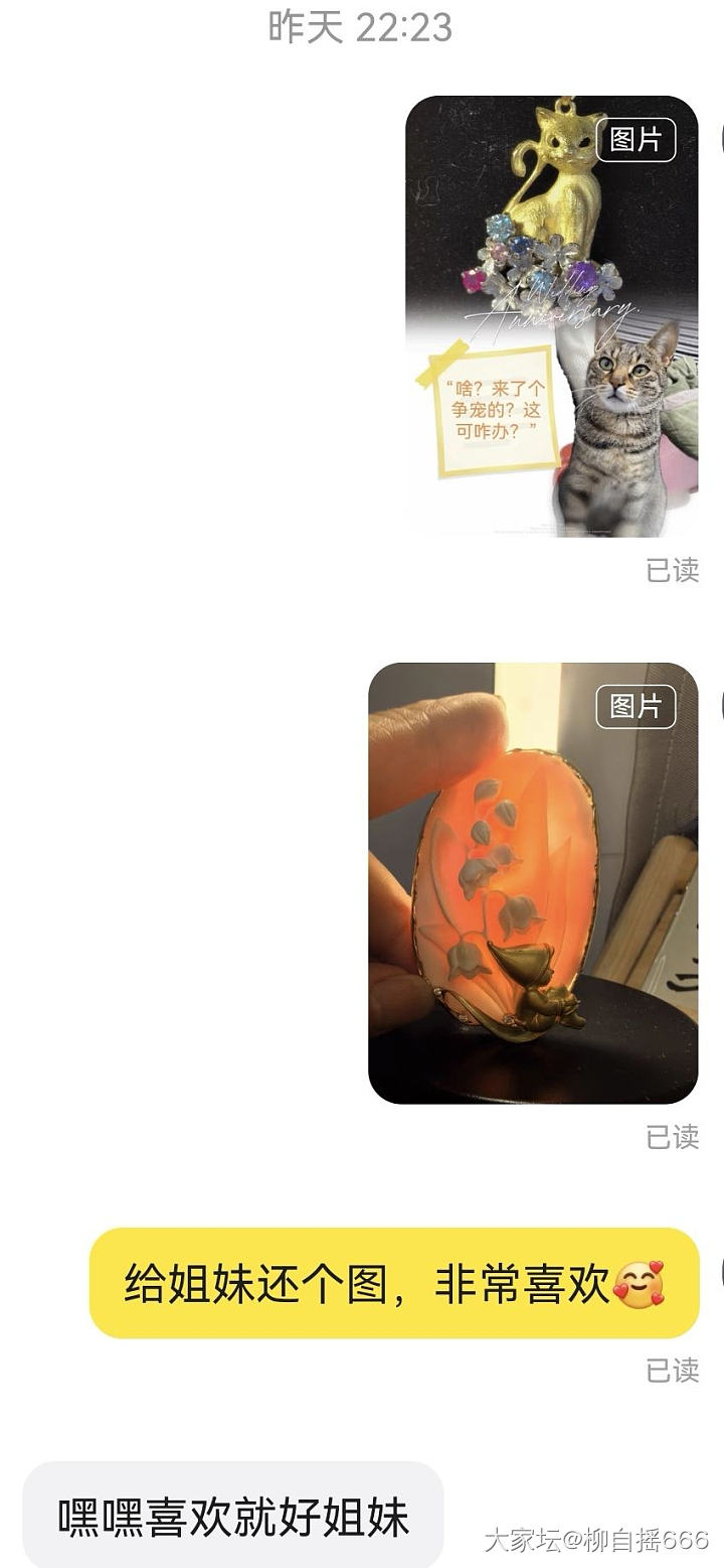 是我的缘分猫没错了🐱_首饰金