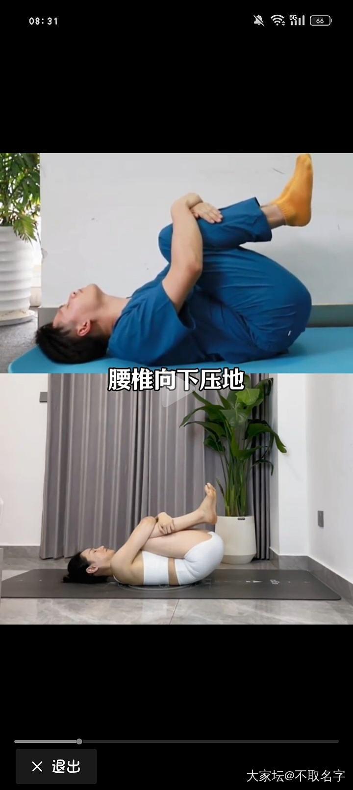 关于骨盆前倾_运动