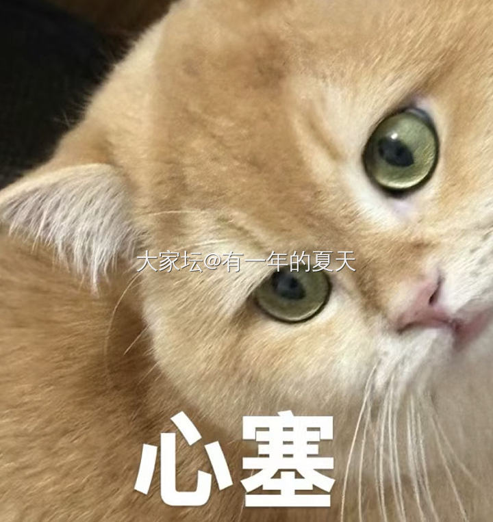 啧“主题已删除”，好讨厌的感觉，又白打字了_闲聊