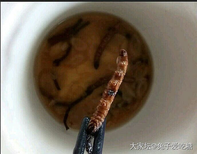我证明燕窝、花胶、虫草、海参、鲍鱼绝对是有效果的_补品