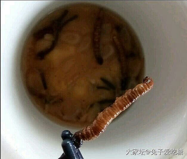 我证明燕窝、花胶、虫草、海参、鲍鱼绝对是有效果的_补品