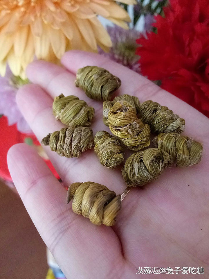 我证明燕窝、花胶、虫草、海参、鲍鱼绝对是有效果的_补品