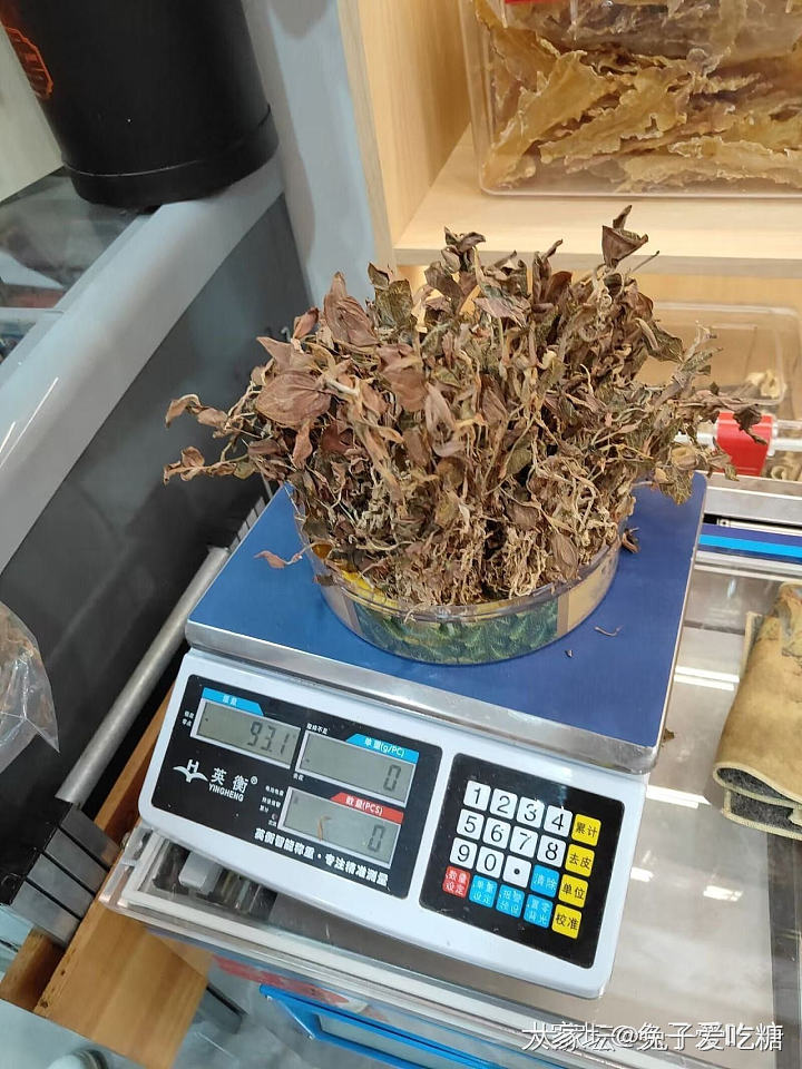 我证明燕窝、花胶、虫草、海参、鲍鱼绝对是有效果的_补品