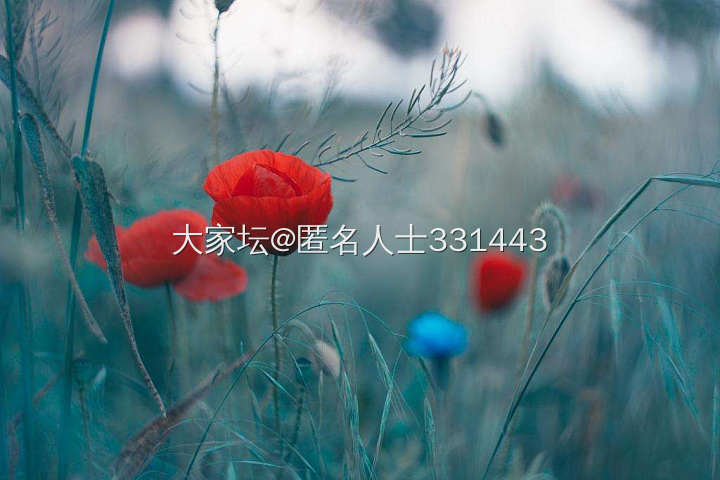 感谢大家坛，感谢坛友，让我学会薅金珠_金