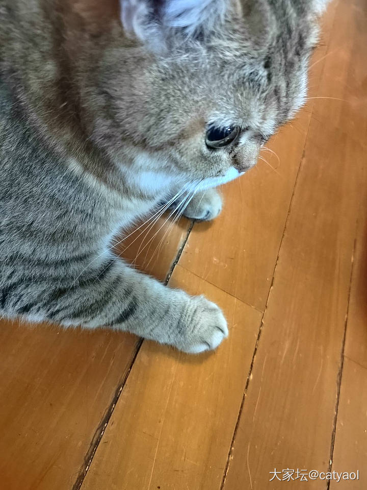 爪爪爪_首饰