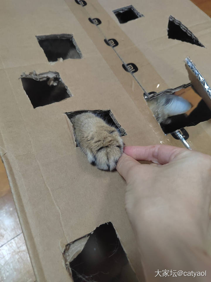 爪爪爪_首饰