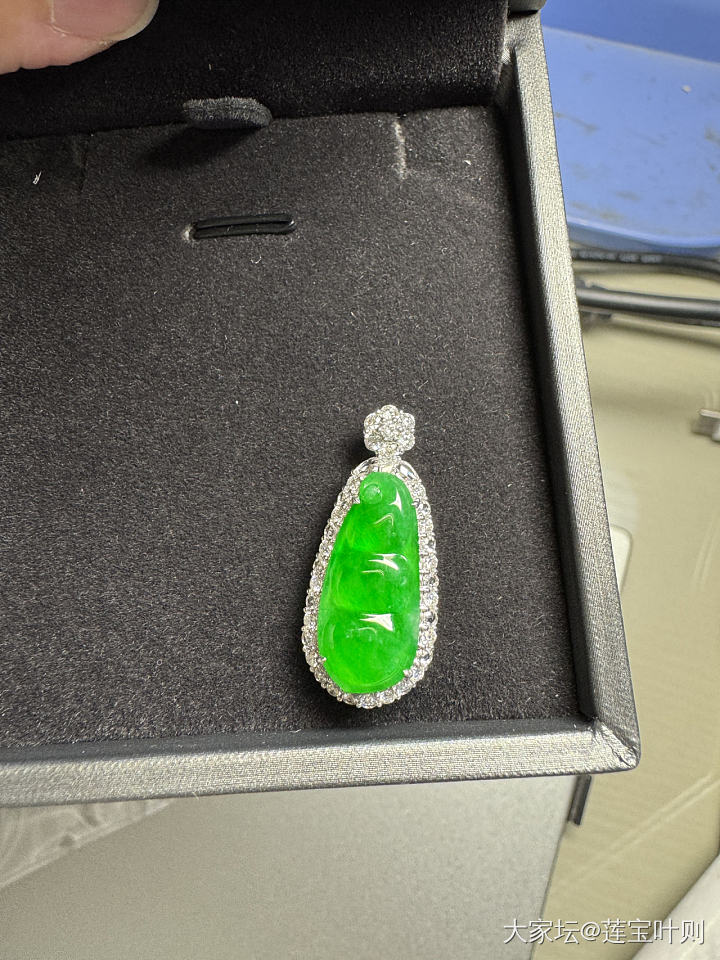 色标级艳阳绿冰种翡翠福豆_翡翠