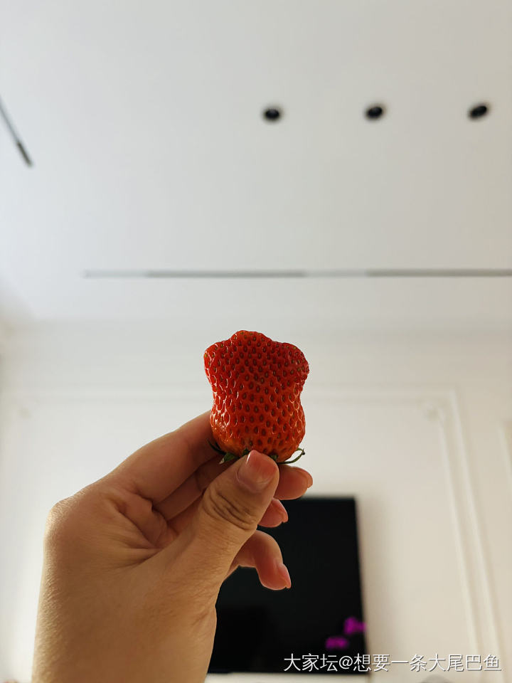 又到接娃时刻啦
