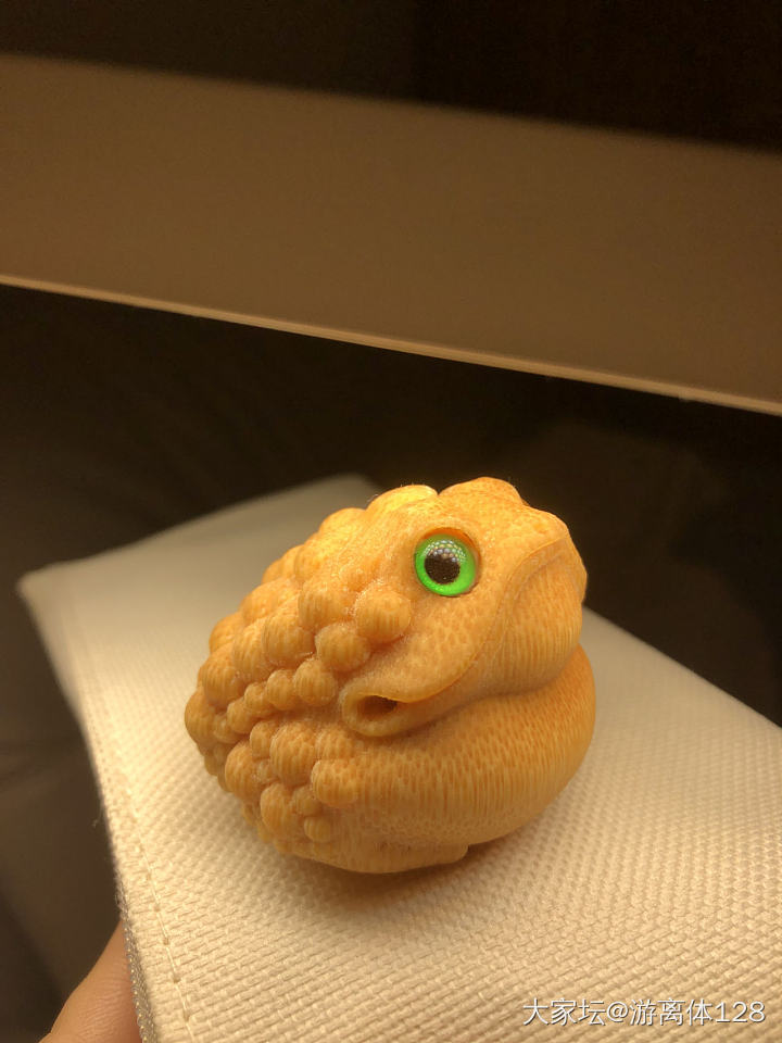 这两个蛤蟆要萌化了