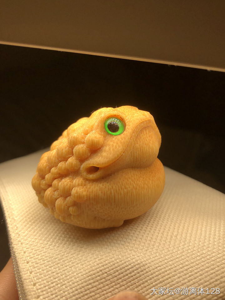 这两个蛤蟆要萌化了