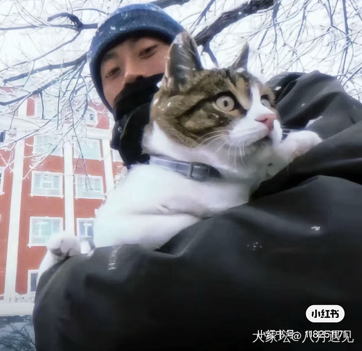 特别美好的人和咪，他们有很多故事，值得关注_闲聊