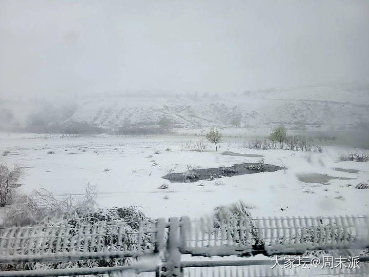 下雪了！_闲聊