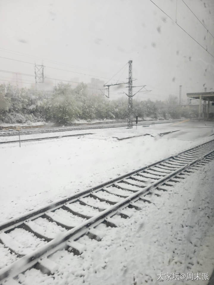 下雪了！_闲聊