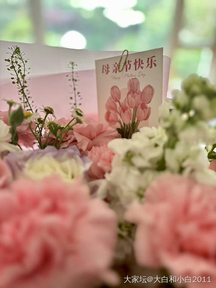 一大早收到小棉袄订的母亲节鲜花💐，一下子就心情明媚起来_猫花节日宠物