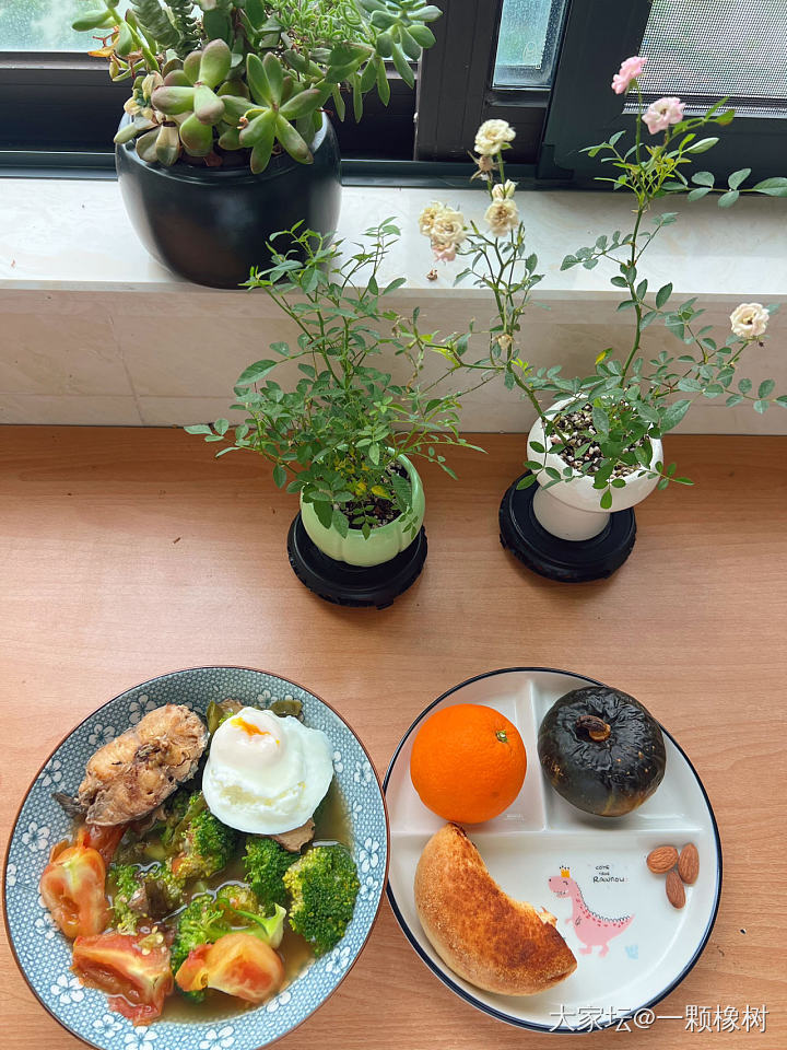 午餐，猜我第一口先吃什么？_生活美食