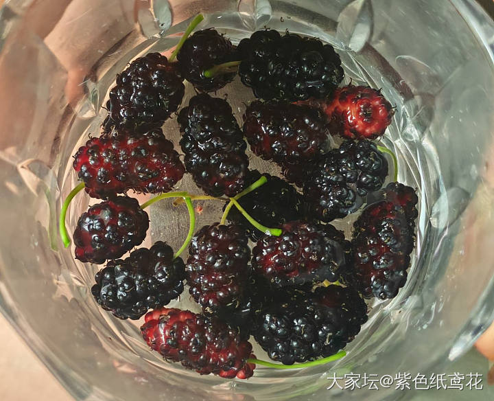 开心一刻：干了这杯水_闲聊