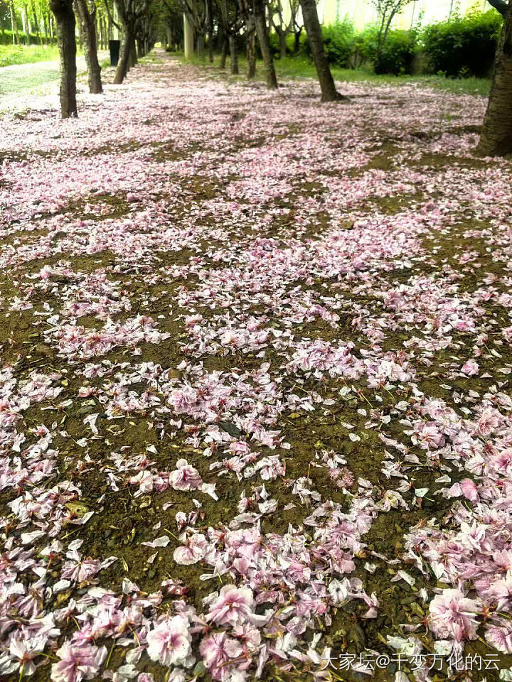 分享一下此时此刻😊