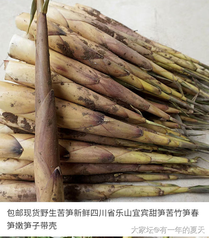 给大家推荐一个笋，淘宝产地在四川的苦笋（不是广西的，广西的壳有毛，极苦）