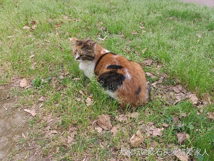 来自对朋友圈几乎每位同事疯狂转发同一条推文厌恶背后的deepseek解答_闲聊