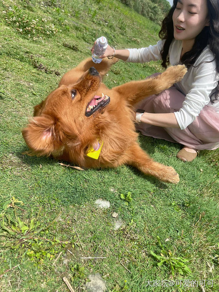 ee们周末愉快～～_宠物