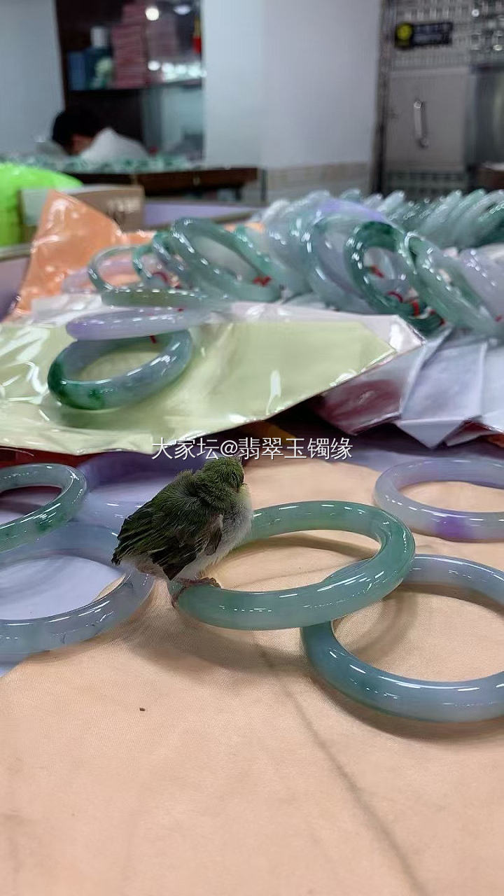 卖哪个？拉我手镯上，我就先卖你_首饰
