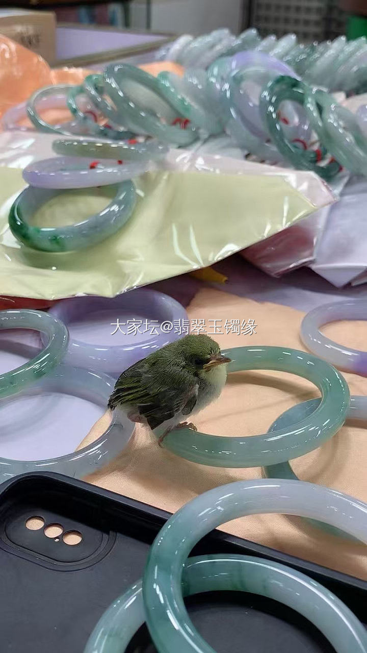 卖哪个？拉我手镯上，我就先卖你_首饰